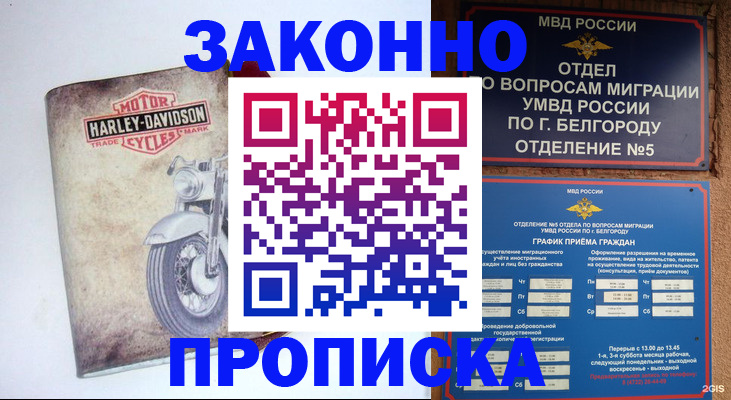 прописка для школы в Котласе